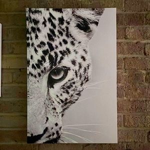 Wall decor leopard